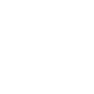 Lefis